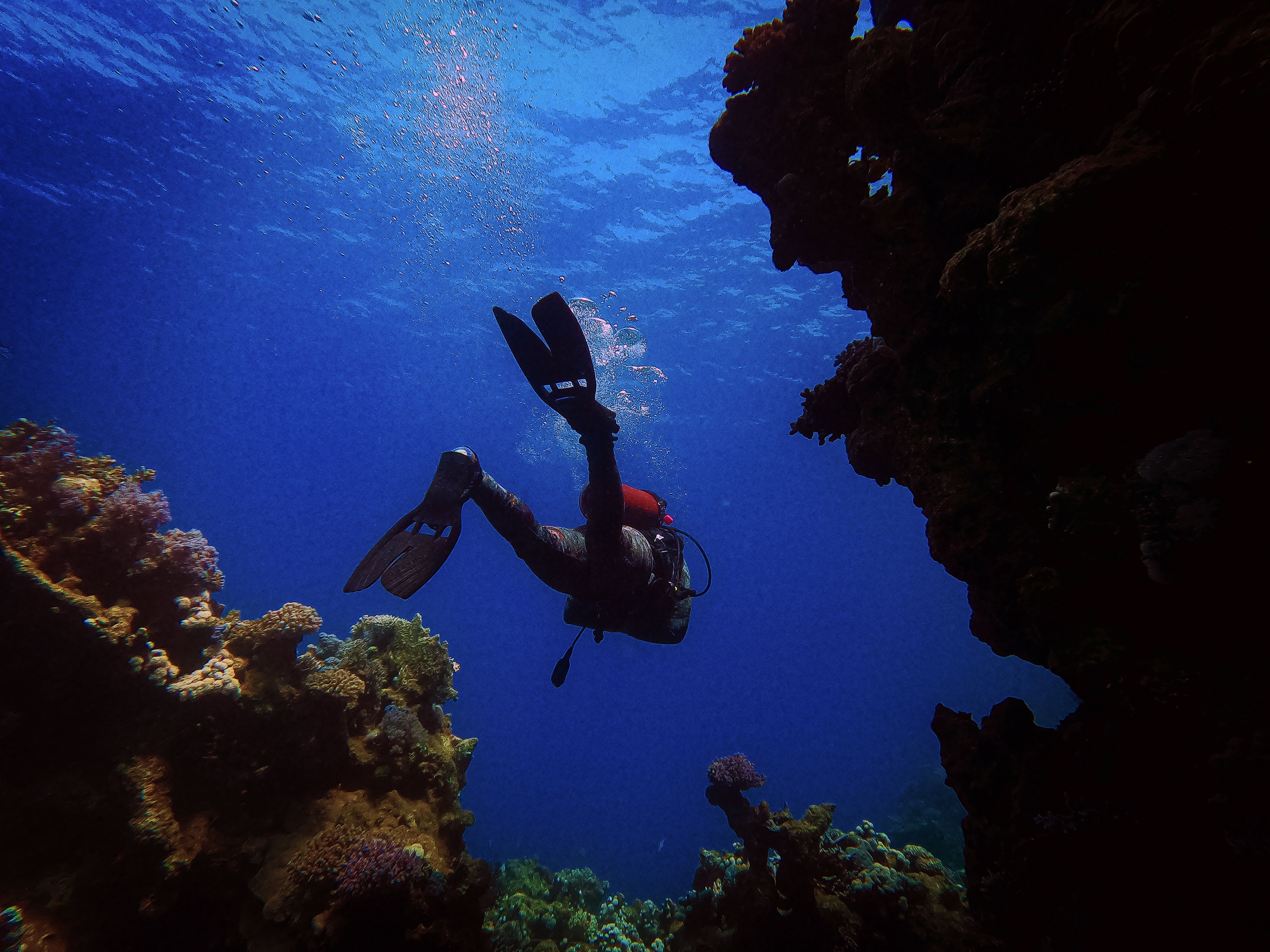 Drift dive at the Straits of Tiran